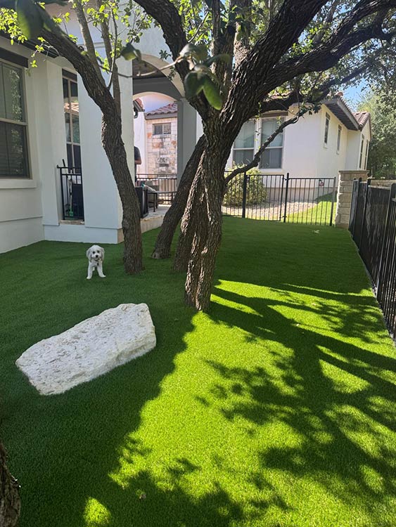 Pet Paradise